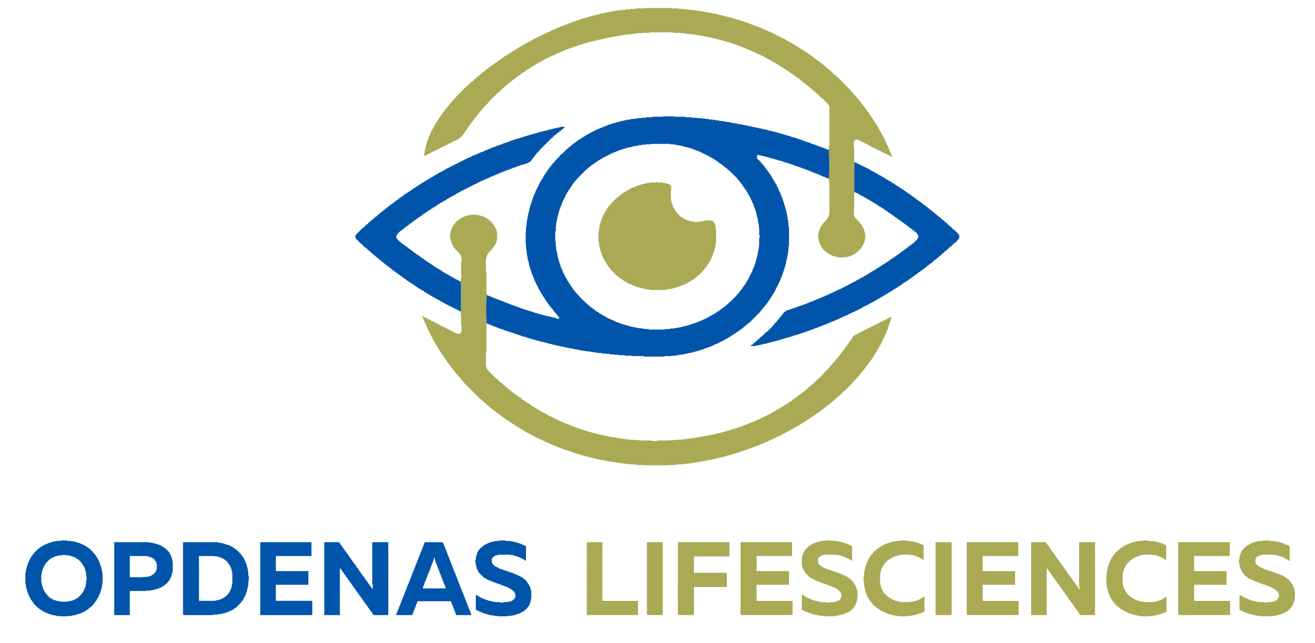 Top 10 Eye Drops For Dry Eyes in India : Opdenas Lifesciences