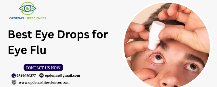Top 10 Best Eye Drops for Dry Eyes in India (1)